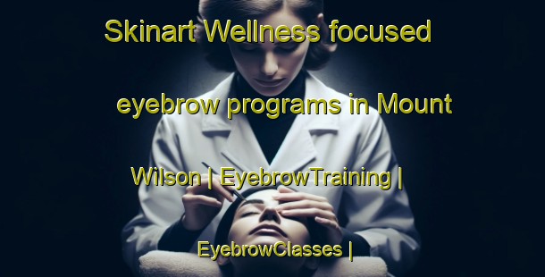 Skinart Wellness-focused eyebrow programs in Mount Wilson | EyebrowTraining | EyebrowClasses | SkinartTraining-United States
